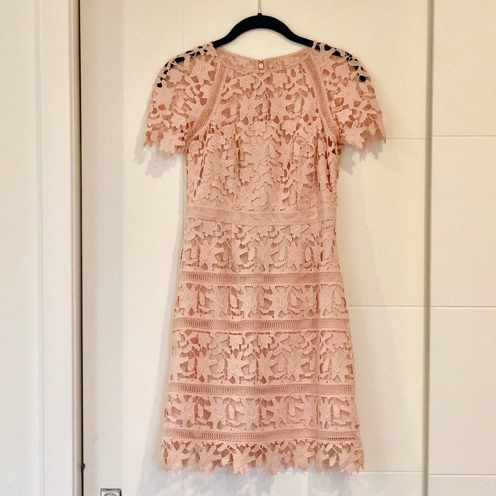 Eliza J Lace Overly Sheath Dress